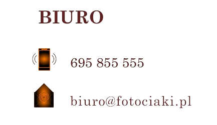 image removebg preview (1)